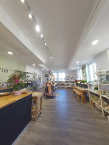 Floristeria Andrea