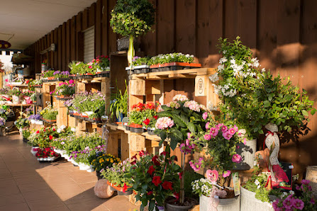 Blumiges Fischbachtal - Blumen, Geschenkartikel Accessoires
