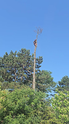 Garten Profi Suedpfalz