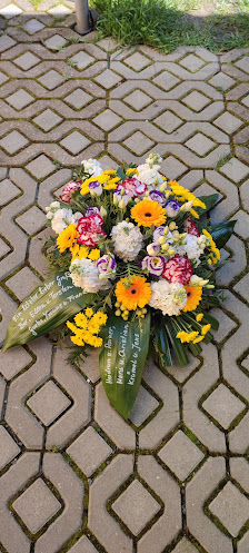 Floristik Inh. C. Männchen