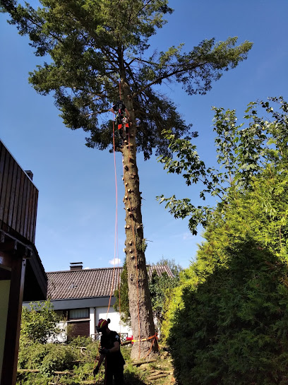 Baum- und Landschaftspflege Tino Fath