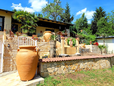 Mentor´s Gartengestaltung