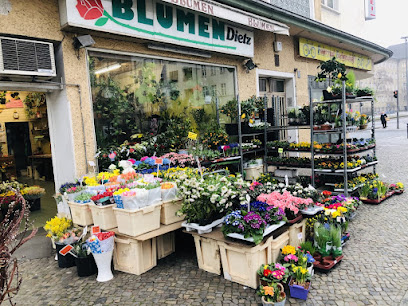Blumen Li-An am Rathaus Schöneberg