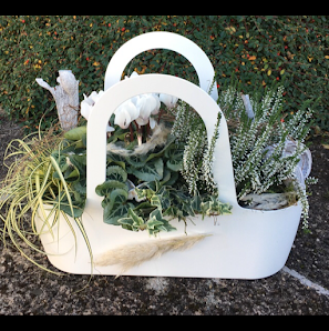 Blumen Birgit 'AMBIENTE'