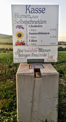 Blumen selber schneiden
