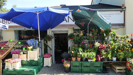 Blumenhaus Kamann