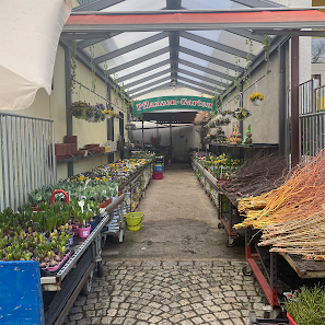 Blumenladen P & A Grünpflanzen undTrockenfloristik