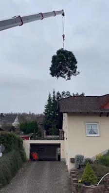 Baumfällung Klein