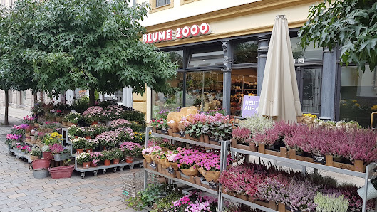 BLUME2000 Freiberg