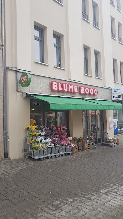 BLUME2000 Plauen