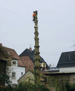 Baumfällung & Landschaftspflege Wagner