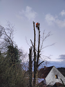 Baumfällung & Landschaftspflege Wagner