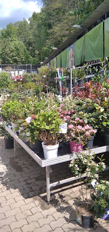 OBI Gartencenter Neunkirchen