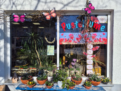 Blumenladen Pusteblume Carola Syskowski