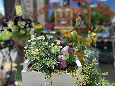 Silvia Jonas Blumen & Kunst