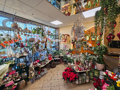Silvia Jonas Blumen & Kunst