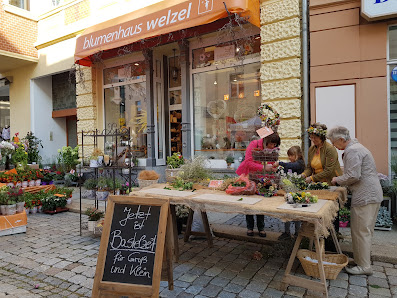 blumenhaus welzel