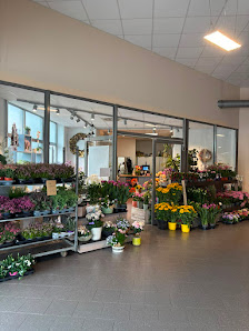 Blumen und Ambiente Natürlich