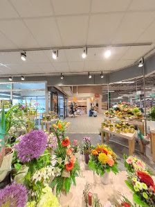 Floribunda GmbH