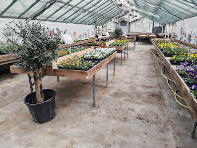 Blumenhaus Gaber