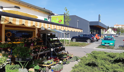 Blumenladen Vier Jahreszeiten