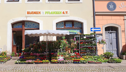 Blumen & Pflanzen A.T.