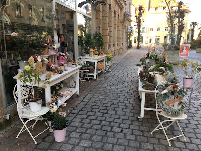 Blumen Petzold in Pirna