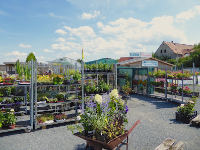 Rosenhof an der Obstscheune