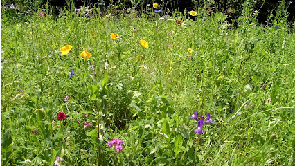 Grünanlagen S. Kirsten