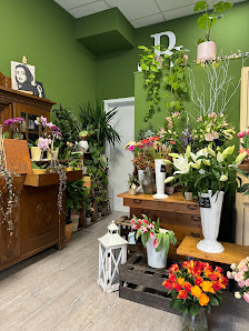 Blumenlaune Freital