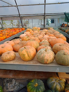 Gartenbau Kießlich