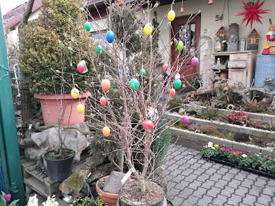 Blumen-Mayer