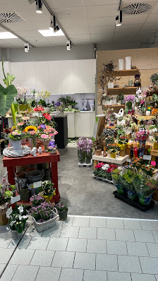 Floribunda GmbH