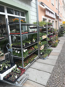 Blumengeschäft "Blattlaus"
