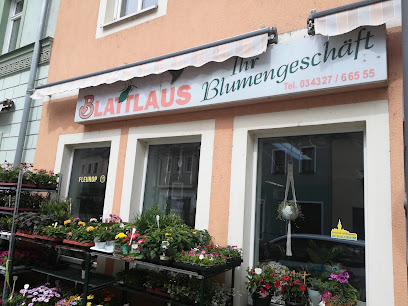 Blumengeschäft "Blattlaus"