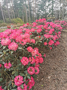 Blumen- & Gartencenter