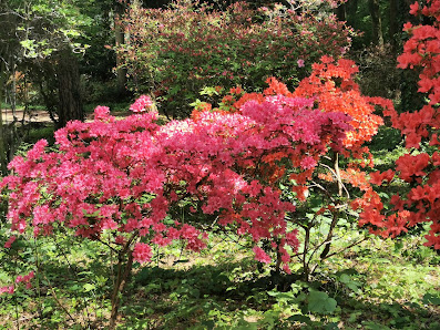 Blumen- & Gartencenter