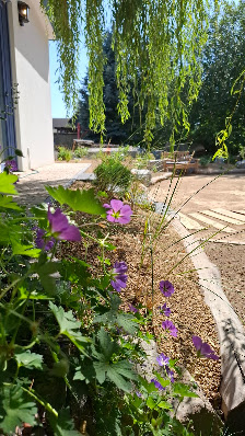 "Klawathi" Garten- und Landschaftsbau Inh.: Andreas Klausner