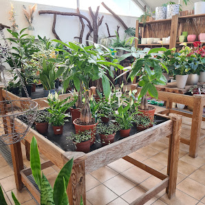 Gartenbau & Floristik Heinke Rochlitz
