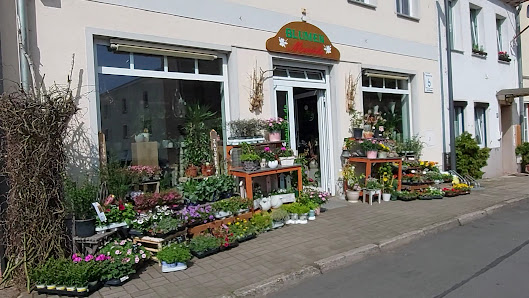 Meuche