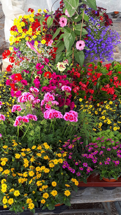 Garten in Zwenkau