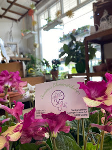 Sandra`s Blumenstübchen