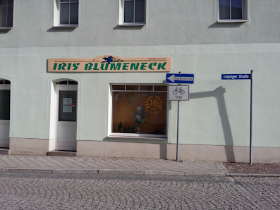 Iris Blumeneck