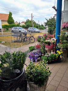 Blumenboutique Ziller