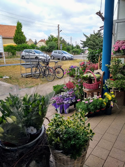 Blumenboutique Ziller