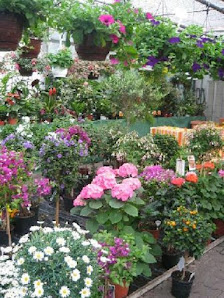 Gärtnerei Schwarz - Florist, Kränze , Buketten, Brautsträuße , Blumen