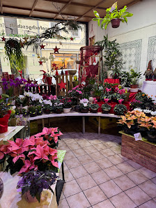 Blumenhaus Emil Uecker Inhaber Heike Uecker