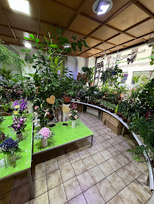 Blumenhaus Emil Uecker Inhaber Heike Uecker
