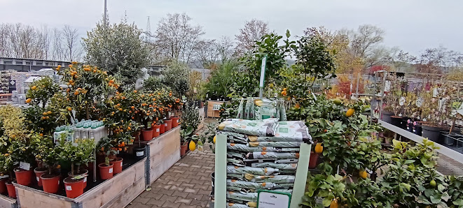 Dehner Garten-Center