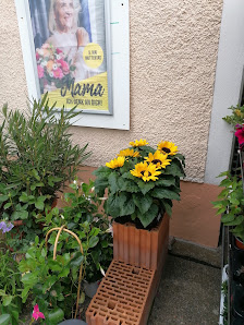 Blumenboutique Seegeler